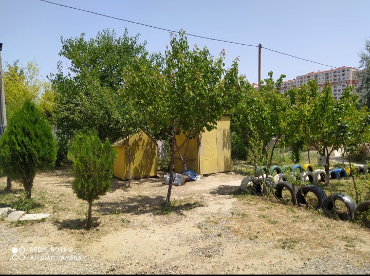 Abşeron Rayonu Məmmədli qəsəbəsi, Mənzil Kommunal Xidmətlər ıdarəsinin rəisi, Sahibkar Afət Yusifova.
