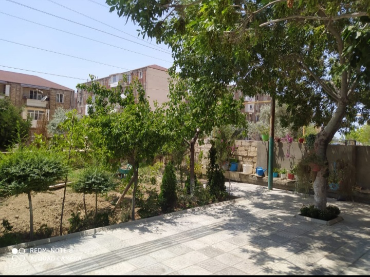 Abşeron Rayonu Məmmədli qəsəbəsi, Mənzil Kommunal Xidmətlər ıdarəsinin rəisi, Sahibkar Afət Yusifova.
