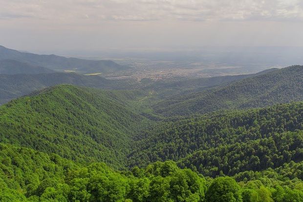 Zaqatala dağlarında daha bir turist itib: Arxasınca ayı düşüb...