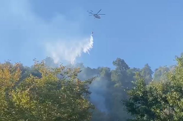 FHN Masallıdakı yanğınla bağlı məlumat yaydı