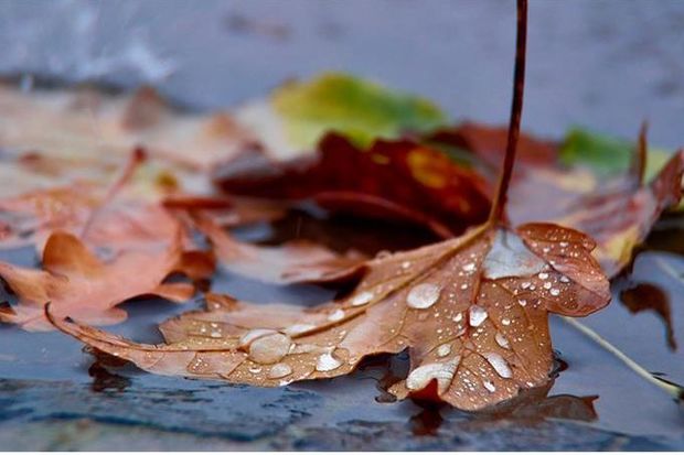 Sabahın hava proqnozu !