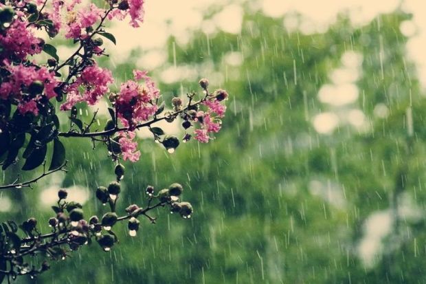 Həftənin ilk günü hava necə olacaq? - PROQNOZ