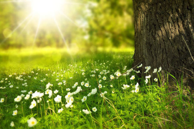 Sabahın hava proqnozu