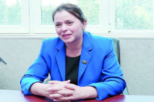 Gədəbəyin deputatı Söyüdlüdəki insident barədə: “Polisin qoca qadına olan kobud rəftarı qəbuledilməzdir”