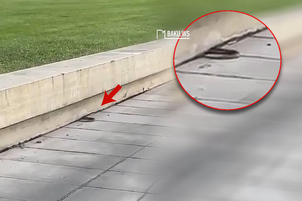 Paytaxtın mərkəzində ilan peyda oldu - VİDEO