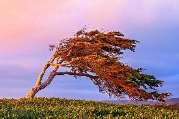 FHN gözlənilən hava şəraiti ilə əlaqədar əhaliyə müraciət etdi
