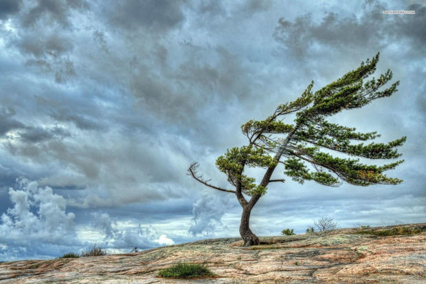 Hava şəraiti kəskin dəyişəcək, güclü külək əsəcək - XƏBƏRDARLIQ
