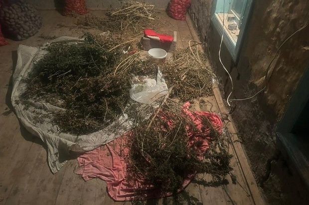 Sabirabad sakininin evində külli miqdarda narkotik aşkarlanıb