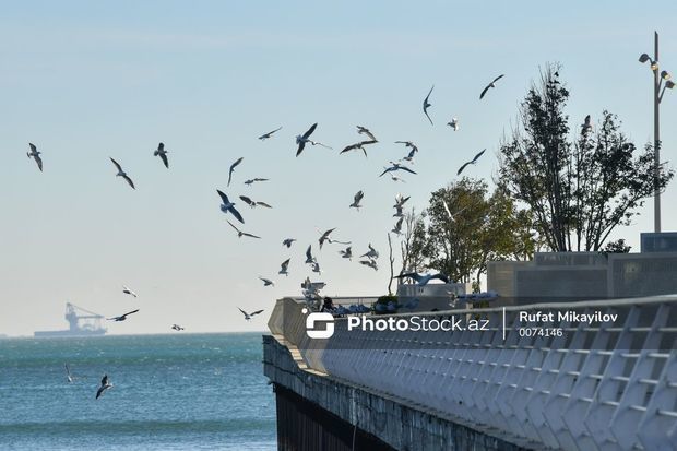 Seçki günü hava necə olacaq?