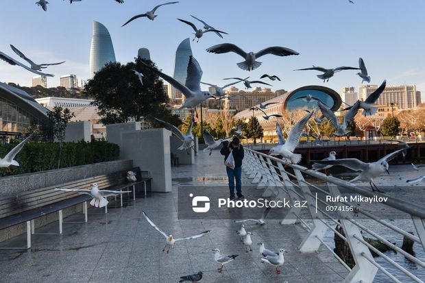 Bazar günü Bakıda 20 dərəcə isti olacaq