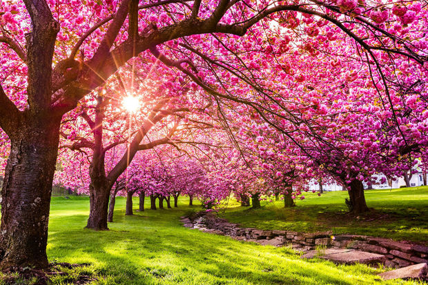 Mart ayına olan hava proqnozu AÇIQLANDI