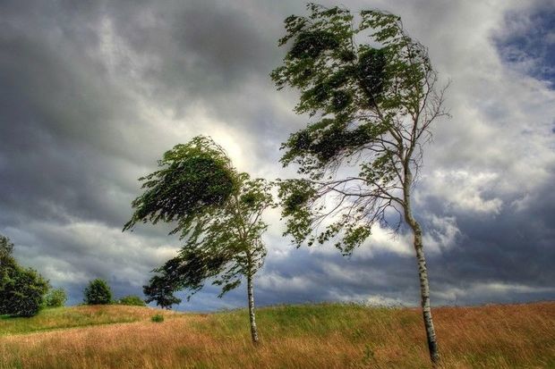 FHN gözlənilən güclü küləklə əlaqədar əhaliyə müraciət edib