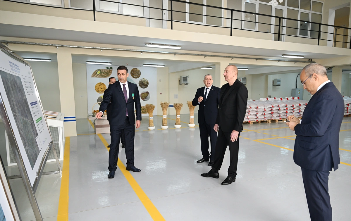 Prezident Sabirabad Sənaye Məhəlləsində toxum istehsalı müəssisəsinin fəaliyyəti ilə tanış olub