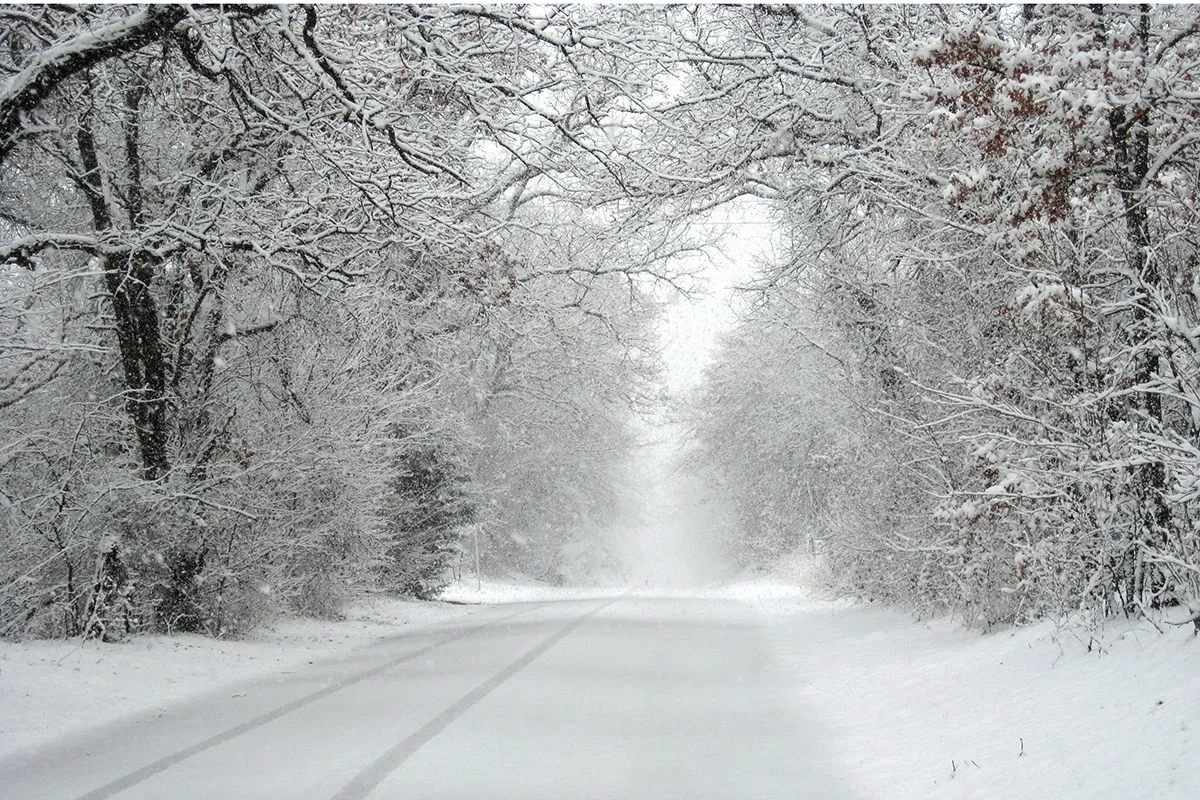 Hava kəskin dəyişir, bəzi ərazilərdə qar yağacaq - XƏBƏRDARLIQ