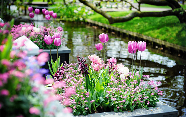 Azərbaycana YAZ GƏLDİ