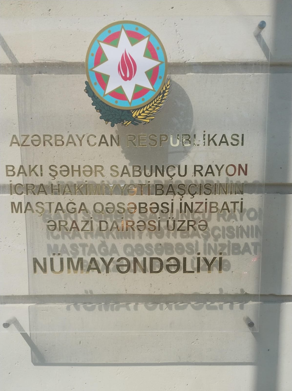 NÜMUNƏVİ NÜMAYƏNDƏ ELVİN ŞİRİYEV