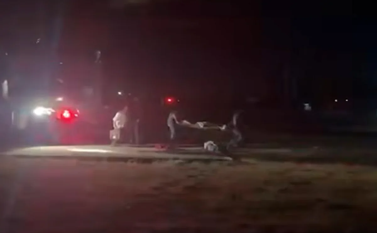 Şəkidə itlərin hücumuna məruz qalan niderlandlı turisti DSX helikopterlə xilas etdi - Video