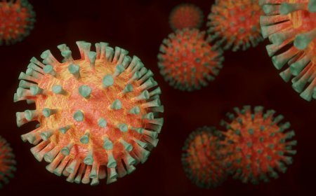 Çexiyada koronavirusun yeni variantı aşkarlandı