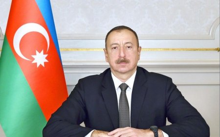 Azərbaycan Prezidenti Rusiya Hökuməti sədrinin müavinini qəbul etdi - VİDEO