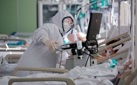 Gürcüstanda daha 11 nəfər koronavirusdan vəfat edib